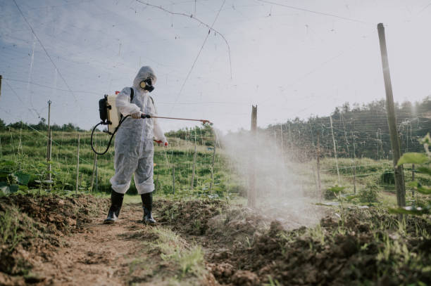Best Commercial Pest Control Services  in El Cerro, NM