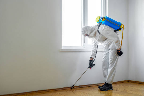 Best Commercial Pest Control Services  in El Cerro, NM