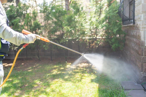 Best Affordable Pest Control Services  in El Cerro, NM