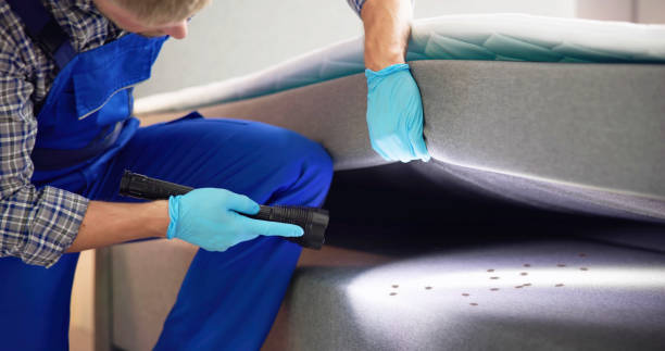Best Best Pest Control Companies  in El Cerro, NM