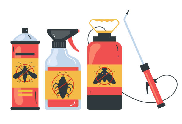 Best Pest Control Near Me in El Cerro, NM
